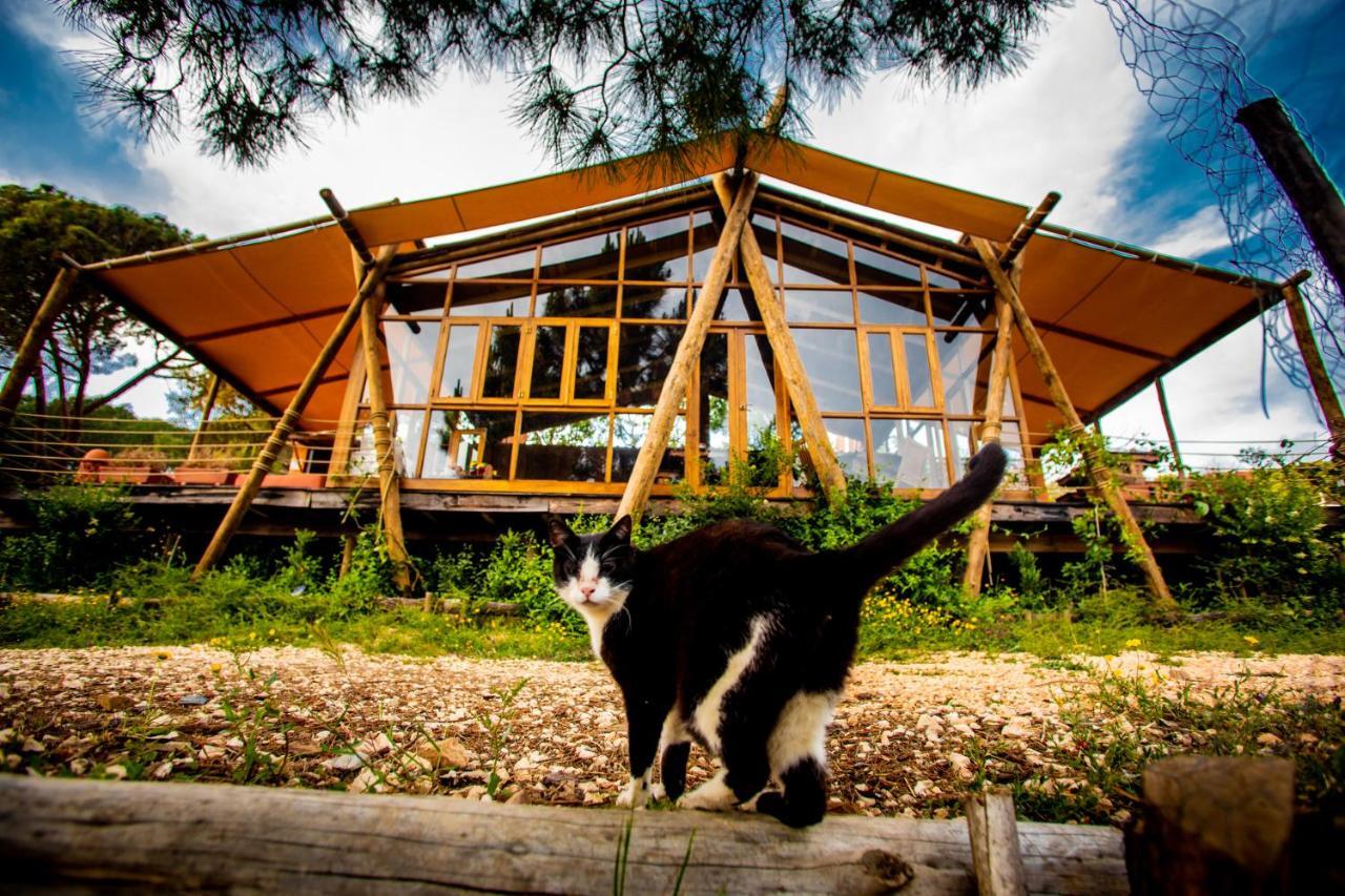 Quinta Alma - Ecological Retreat Farm Hotell Aljezur Eksteriør bilde